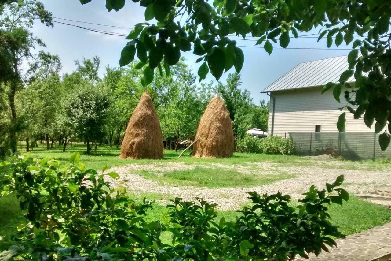 Pensiunea Stefania Brebu Minastirei Bagian luar foto